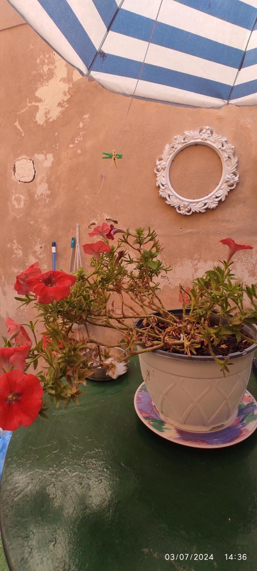 דירות Corfu  Casa Di Mare מראה חיצוני תמונה